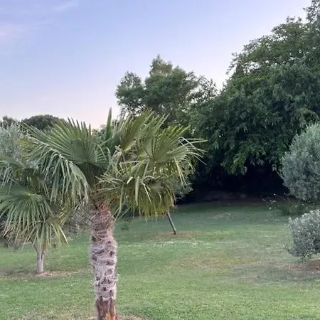 Ferienhaus Villacosine-pont Du Gard *